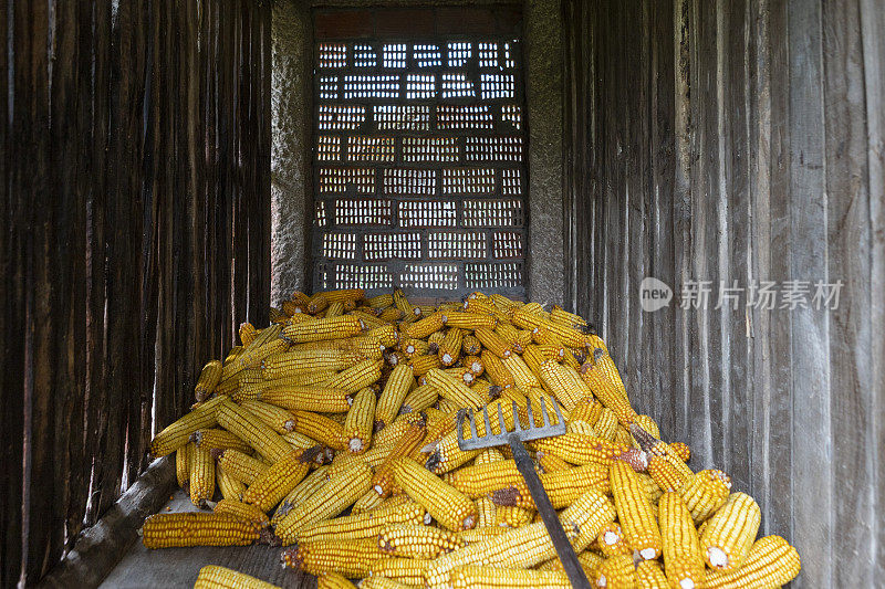 Horreo在西班牙加利西亚的Trasalba Ourense镇储存玉米